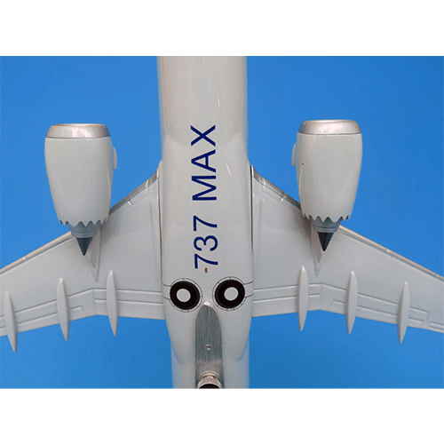 ANA Boeing 737 MAX 8 1:100 Pacmin Studios Large-Scale Model - Man‘s Aviation Collectibles (HK)