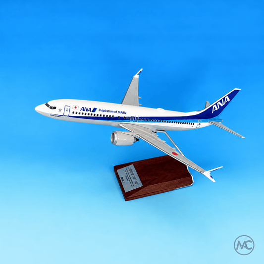 ANA Boeing 737 MAX 8 1:100 Pacmin Studios Large-Scale Model - Man‘s Aviation Collectibles (HK)