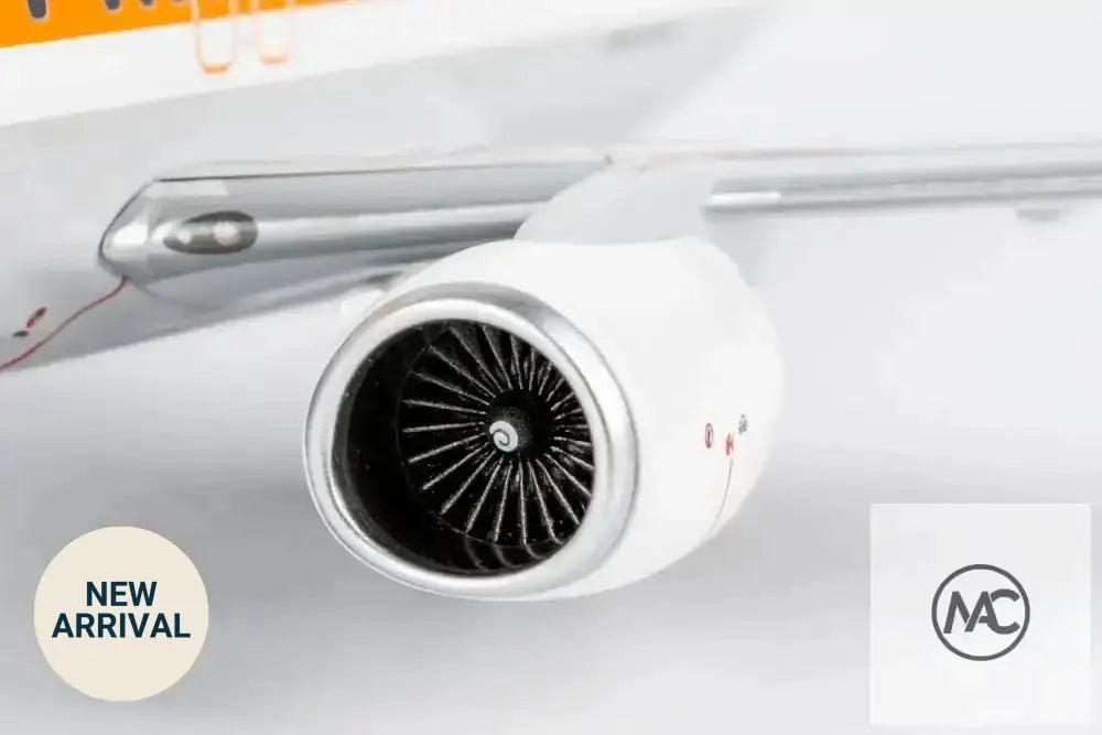 澳洲航空 Qantas Boeing 737-800WL VH-XZP Retro Roo II「James Strong」1:200｜NG Models - Man‘s Aviation Collectibles (HK)